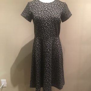 Loft animal print dress